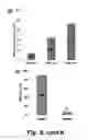 Fig. 12 - Methods for efficient intracellular delivery using anisotropic magnetic particles