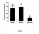 Fig. 04 - Lepidopteran moth control using double-stranded RNA constructs