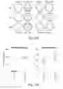 Fig. 28 - Methods of controlling cell fate and consequences for disease