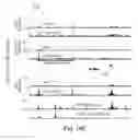 Fig. 35 - Methods of controlling cell fate and consequences for disease