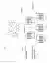 Fig. 05 - SELF ASSEMBLING NUCLEIC ACID NANOSTRUCTURES