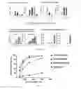 Fig. 08 - RNA-based compositions and adjuvants for prophylactic and therapeutic treatment
