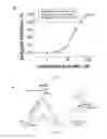 Fig. 10 - RNA-based compositions and adjuvants for prophylactic and therapeutic treatment