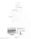 Fig. 15 - RNA-based compositions and adjuvants for prophylactic and therapeutic treatment