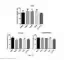 Fig. 16 - RNA-based compositions and adjuvants for prophylactic and therapeutic treatment