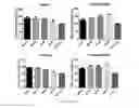 Fig. 17 - RNA-based compositions and adjuvants for prophylactic and therapeutic treatment