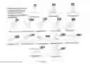 Fig. 23 - RNA-based compositions and adjuvants for prophylactic and therapeutic treatment