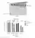 Fig. 32 - RNA-based compositions and adjuvants for prophylactic and therapeutic treatment