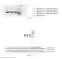Fig. 45 - RNA-based compositions and adjuvants for prophylactic and therapeutic treatment