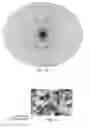 Fig. 10 - INDIVIDUALIZED CANCER THERAPY