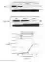 Fig. 11 - INDIVIDUALIZED CANCER THERAPY