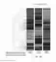 Fig. 12 - INDIVIDUALIZED CANCER THERAPY