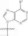Fig. 124 - ALTERNATIVE NUCLEIC ACID MOLECULES AND USES THEREOF