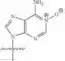 Fig. 127 - ALTERNATIVE NUCLEIC ACID MOLECULES AND USES THEREOF