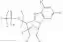 Fig. 128 - ALTERNATIVE NUCLEIC ACID MOLECULES AND USES THEREOF