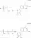 Fig. 131 - ALTERNATIVE NUCLEIC ACID MOLECULES AND USES THEREOF