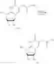 Fig. 222 - ALTERNATIVE NUCLEIC ACID MOLECULES AND USES THEREOF