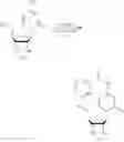 Fig. 233 - ALTERNATIVE NUCLEIC ACID MOLECULES AND USES THEREOF