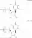 Fig. 68 - ALTERNATIVE NUCLEIC ACID MOLECULES AND USES THEREOF