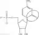 Fig. 89 - ALTERNATIVE NUCLEIC ACID MOLECULES AND USES THEREOF