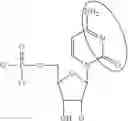 Fig. 90 - ALTERNATIVE NUCLEIC ACID MOLECULES AND USES THEREOF