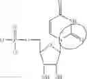 Fig. 92 - ALTERNATIVE NUCLEIC ACID MOLECULES AND USES THEREOF