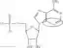 Fig. 95 - ALTERNATIVE NUCLEIC ACID MOLECULES AND USES THEREOF