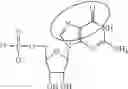 Fig. 97 - ALTERNATIVE NUCLEIC ACID MOLECULES AND USES THEREOF