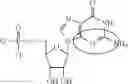 Fig. 98 - ALTERNATIVE NUCLEIC ACID MOLECULES AND USES THEREOF