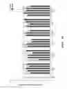 Fig. 31 - Genomic insulator elements and uses thereof