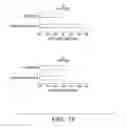 Fig. 32 - Genomic insulator elements and uses thereof