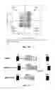 Fig. 11 - Retroviral vector having immune-stimulating activity