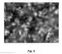 Fig. 08 - Efficient delivery of large cargos into cells on a porous substrate