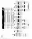 Fig. 04 - METHOD FOR EDITING A GENETIC SEQUENCE
