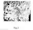 Fig. 02 - Process for preparation of biodegradable biocompostable biodigestible polyolefins