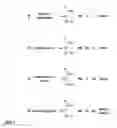 Fig. 04 - PRODUCTION OF VOLATILE DIENES BY ENZYMATIC DEHYDRATION OF LIGHT ALKENOLS