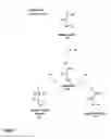 Fig. 05 - PRODUCTION OF VOLATILE DIENES BY ENZYMATIC DEHYDRATION OF LIGHT ALKENOLS