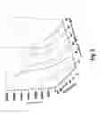 Fig. 04 - In vitro method for fast scarless DNA assembly using thermostable exonucleases and ligase