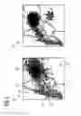 Fig. 05 - METHOD FOR DETECTING A PLASMODIUM INFECTION