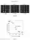 Fig. 08 - COMPOSITION FOR DIAGNOSING CANCER USING PKA ACTIVITY AND INFORMATION PROVIDING METHOD FOR DIAGNOSING METASTASIS