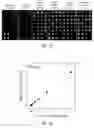 Fig. 09 - COMPOSITION FOR DIAGNOSING CANCER USING PKA ACTIVITY AND INFORMATION PROVIDING METHOD FOR DIAGNOSING METASTASIS