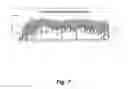Fig. 08 - High-level multiplex amplification