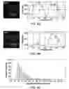 Fig. 16 - Methods and apparatus for performing digital assays using polydisperse droplets