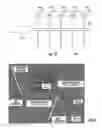 Fig. 11 - Nanofluidic devices for the rapid mapping of whole genomes and related systems and methods of analysis