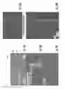 Fig. 12 - Nanofluidic devices for the rapid mapping of whole genomes and related systems and methods of analysis