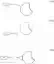 Fig. 13 - Pore-forming protein conjugate compositions and methods