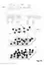 Fig. 06 - DNA sequencing from high density DNA arrays using asynchronous reactions