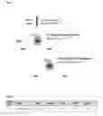 Fig. 02 - Determination of miR-423-5p in heart failure