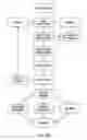 Fig. 05 - Therapeutic regimen for hypertension