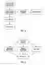 Fig. 06 - Therapeutic regimen for hypertension